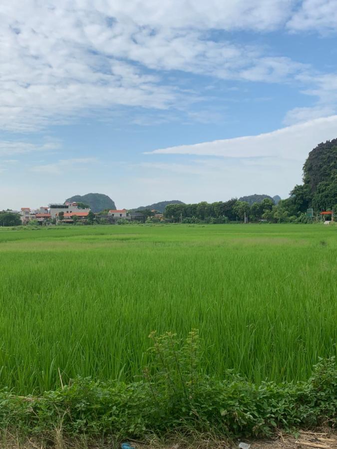 Tam Coc Wonderland Bungalow Hotel Ninh Bình Kültér fotó