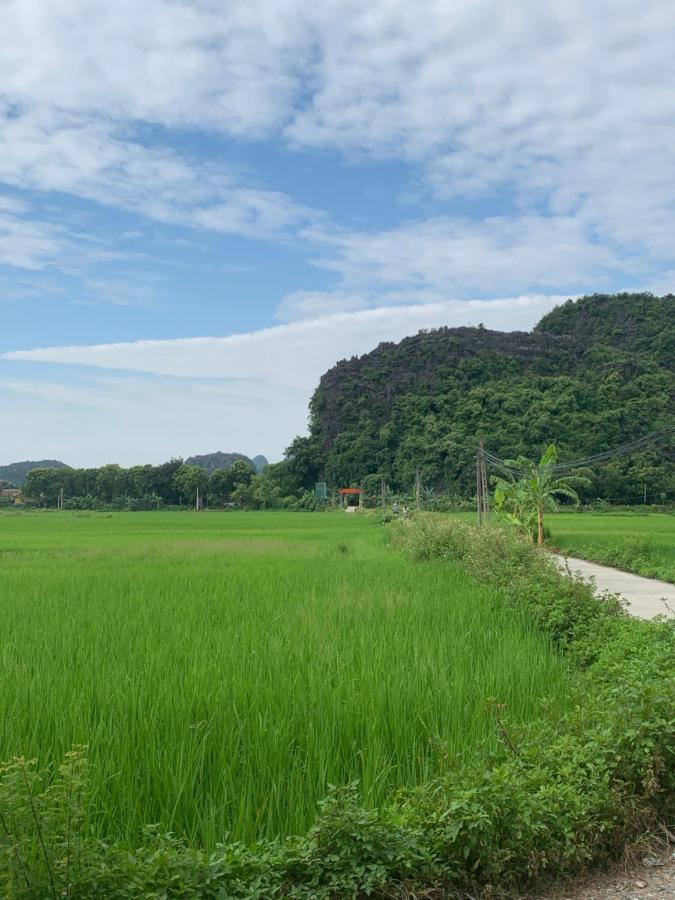 Tam Coc Wonderland Bungalow Hotel Ninh Bình Kültér fotó